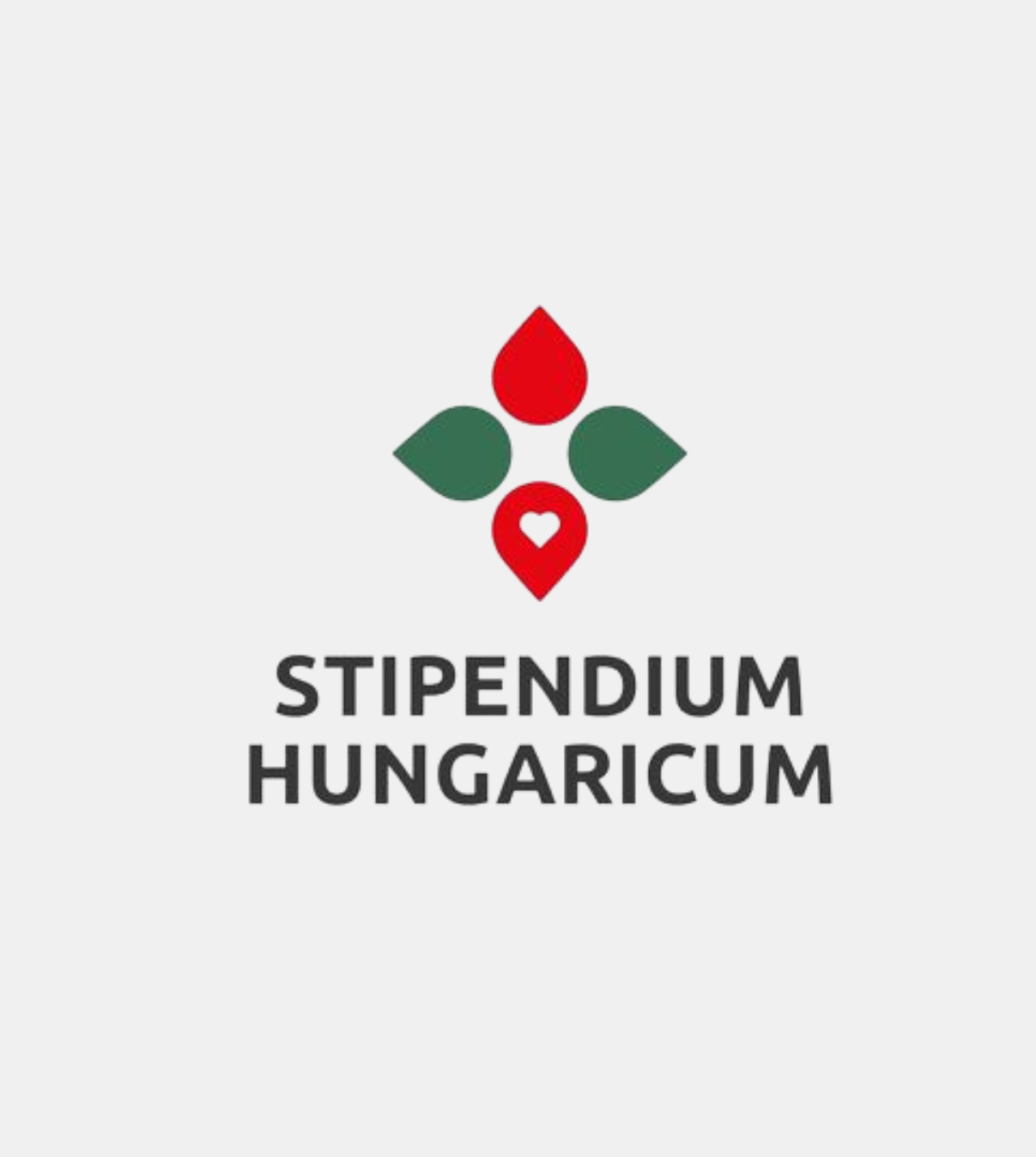 Study in Hungary: Admissions Open at the University of Pannonia through Stipendium Hungaricum Scholarship