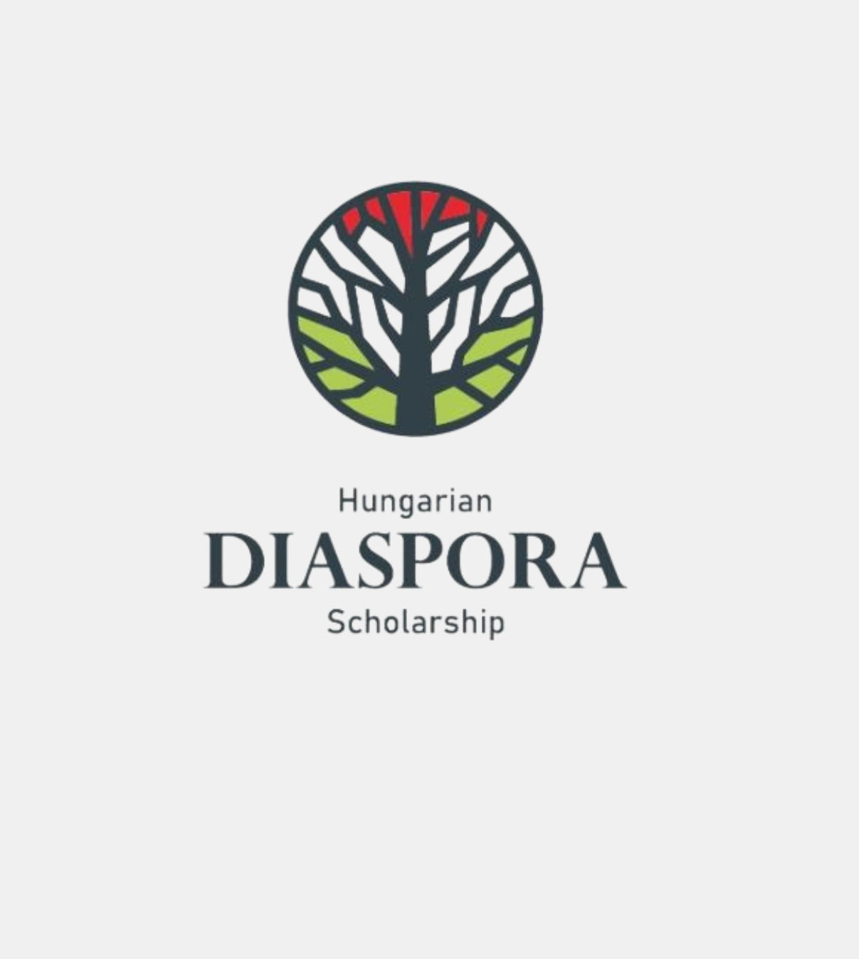 Study in Hungary: Diaspora Scholarship Applications Now Open at the University of Pannonia!